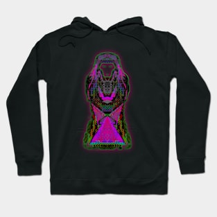 Virgo 3c Purple Hoodie